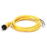 Allen-Bradley, 889N-F5AEC-6F, Mini/Mini Plus, Female, Straight, 5-Pin, PVC Cable, Yellow, Unshielded, US Color Coded, No Connector, 6 feet (1.83 meters)