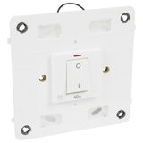 Double pole switch Arteor - with neon - 40 A 250 V~ - 4'' x 4'' - white