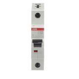 ST201M-C13 Miniature Circuit Breaker - 1P - C - 13 A