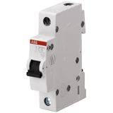 SH201L-C2 Miniature Circuit Breaker - 1P - C - 2 A