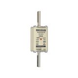 Fuse-link NH2 gG 500VAC 100A live tags Double indicator