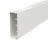 LKM60200RW Cable trunking with base perforation 60x200x2000