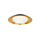 SIDE LED BLACK/COPPER CEILING LAMP 15W