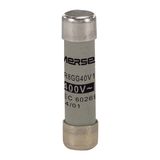 Cylindrical fuse-link gG 8x32 IEC 400VAC 1A