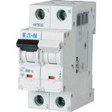 PXL-B40/1N Eaton Moeller series xPole - PXL MCB