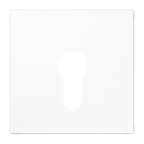 Centre plate f. key switch LS925WW