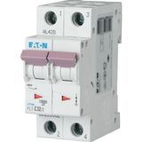 Miniature circuit breaker (MCB), 32 A, 2p, characteristic: C