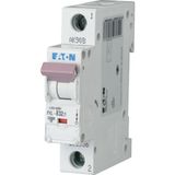 PXL-B32/1 Eaton Moeller series xPole - PXL MCB