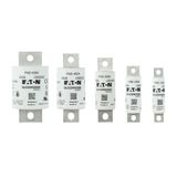 FWE-175A 1000Vdc IEC/UL 175A aR 30mm Round fuse