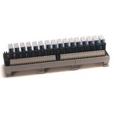 Allen-Bradley, 1492-XIM4024-16R, 40-Pin Relay Master Digital IFM, 24V DC, 16 Relays, Relay Interface Module