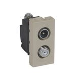 Arteor Television and Satellite Star Socket 1 Module Champagne