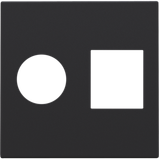 Finishing set for single coaxial connection and network connection RJ4