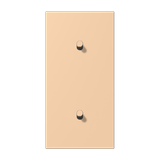 Centre plate with toggle lever "cylinder LC12-20R0237