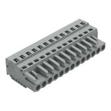 1-conductor female connector CAGE CLAMP® 2.5 mm² gray