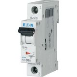 Miniature circuit breaker (MCB), 40 A, 1p, characteristic: C