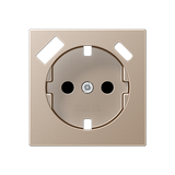 Centre plate SCHUKO® sockets A1520-15CAPLCH