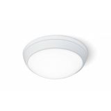 DIONE LED PLUS 2350lm 830 IP65 I class RCR OPAL WHITE 22W