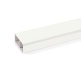 LE 60230 TW rws  Channel LE, for cable storage, 2000x230x60, pure white Polyvinyl chloride