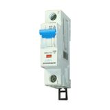 Miniature Ciruit Breaker (MCB) C, 13A, 1-pole,swiss standard