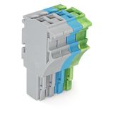 1-conductor female connector Push-in CAGE CLAMP® 4 mm² gray/blue/green