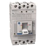 Allen-Bradley, 140MG - Motor Circuit Protectors, G frame, 35..65 kA at 480V, MCP (magnetic only), Rated Current 100 A