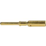 M12 Power Male PE Contact Crimp 0,5mm²