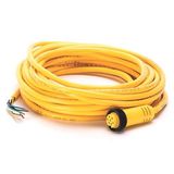 Allen-Bradley 889N-F9AF-10 Mini/Mini Plus, Female, Straight, 9-Pin, PVC Cable, Yellow, Unshielded, IEC Color Coded, No Connector, 10 meter (32.8 feet), 16AWG