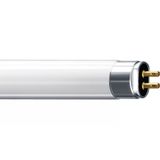 14 W G5 Cool white Linear fluorescent tube