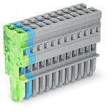 1-conductor female connector CAGE CLAMP® 4 mm² gray/blue/green-yellow