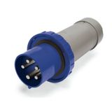 PLUG 100A 2P 3W 6h IP67 250V