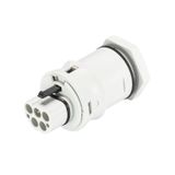 DEVICE CONNECTOR RST20I5S S1 M00V GL