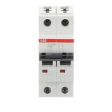 ST202M-K8 Miniature Circuit Breaker - 2P - K - 8 A