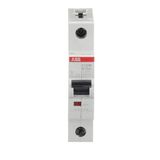 ST201M-B13 Miniature Circuit Breaker - 1P - B - 13 A