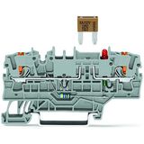 2202-1981/1000-429 2-conductor fuse terminal block; for mini-automotive blade-style fuses; with test option