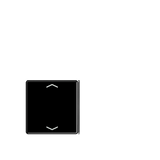 Cover 4-gang with sym. for button 2+3 A404TSAPSW23