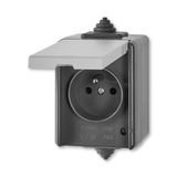 5518-2969 S Socket outlet with earthing pin, with hinged lid, for multiple mounting