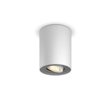 Pillar Hue ext. spot single spot white 1