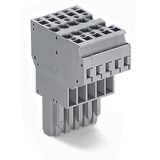 2-conductor female connector CAGE CLAMP® 4 mm² gray