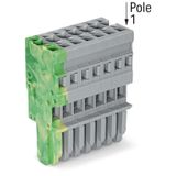 1-conductor female connector CAGE CLAMP® 4 mm² gray, green-yellow