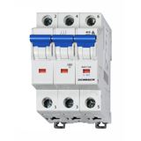 Miniature Circuit Breaker (MCB) C, 40A, 3-pole, 10kA