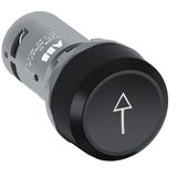 CP9-1016 Pushbutton