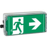 Ex-escape sign luminaires EXIT 2 V-CG-S for zone 2/22, Pictogram: DIN ISO 7010, Arrow: 9 Clock