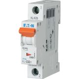 Miniature circuit breaker (MCB), 63 A, 1p, characteristic: C