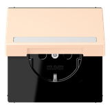 SCHUKO socket, with hinged lid, with ins LC1520BFNAKL238