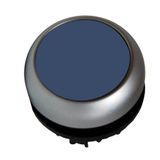 Push-button flat, stay-put, blue