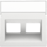 Central plate data 2x RJ oblique output, white coated