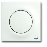 1789 KI-774 CoverPlates (partly incl. Insert) carat® studio white matt