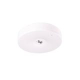 Starlet Round LED SC 250 A 1H MT