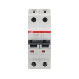 ST202M-D10 Miniature Circuit Breaker - 2P - D - 10 A