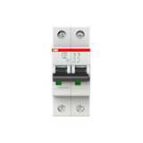 S202L-C13 Miniature Circuit Breaker - 2P - C - 13 A